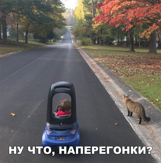 Прикольные картинки абавсём