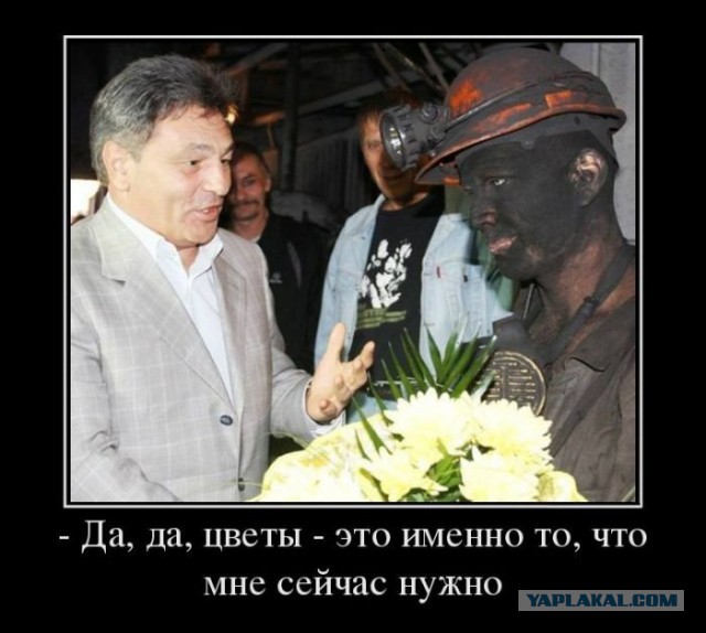 Ударим по похмелью безмозглыми картинками