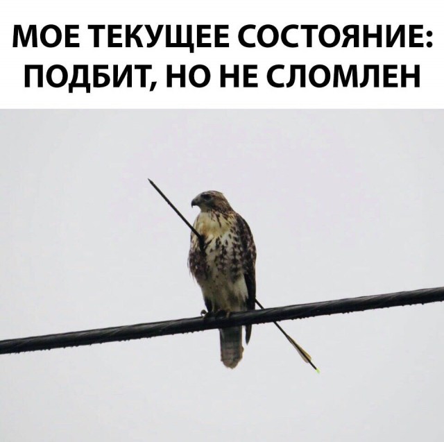 Немного картинок в этот понедельник