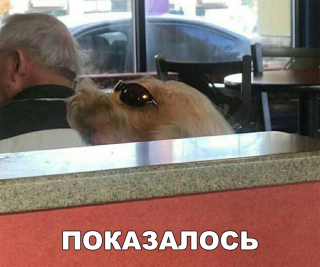 Нестандартный юмор