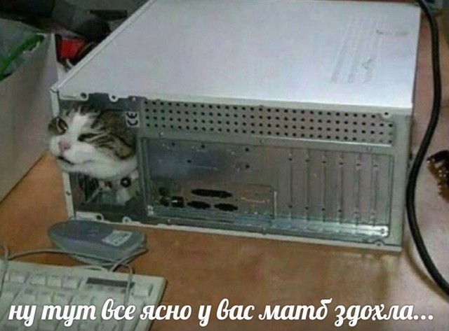 Прикольные картинки абавсём