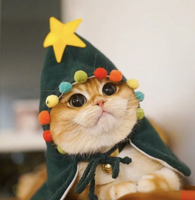 Милоты пост