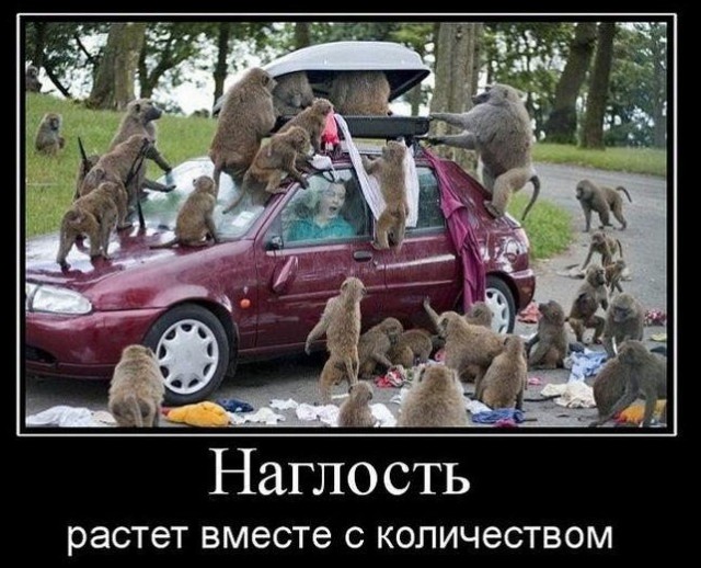 Демки и ностальджи