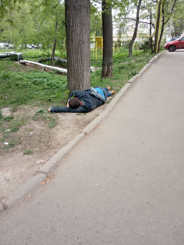 Скотсети и прочие интернеты 25.04.2019