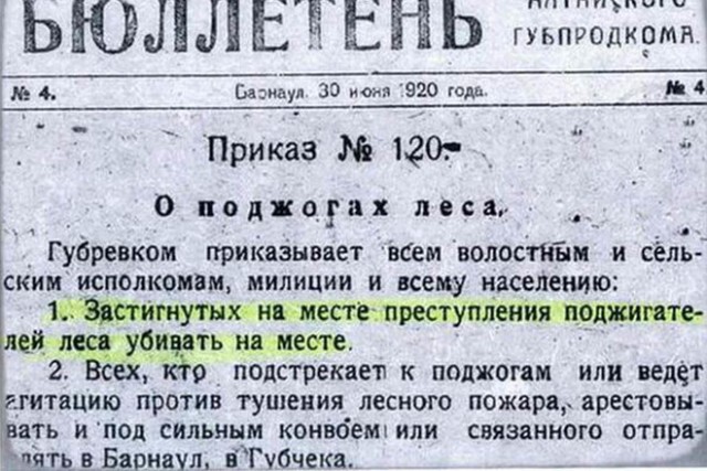 Лесные пожары в Сибири не будут тушить из-за экономии средств