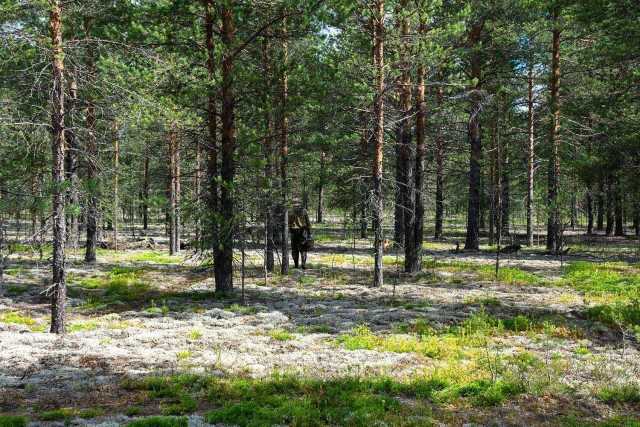 Деревенская Америка - 6