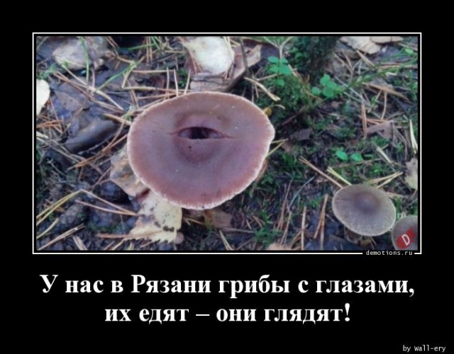Муж купил квартиру так, чтобы мне она не досталась