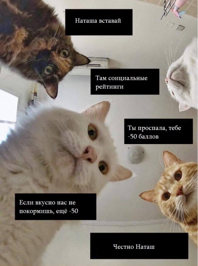 Готовимся к введению социальному рейтинга