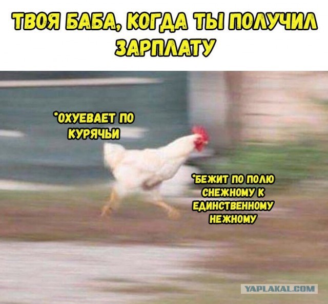 Бредзона 15.06.2020