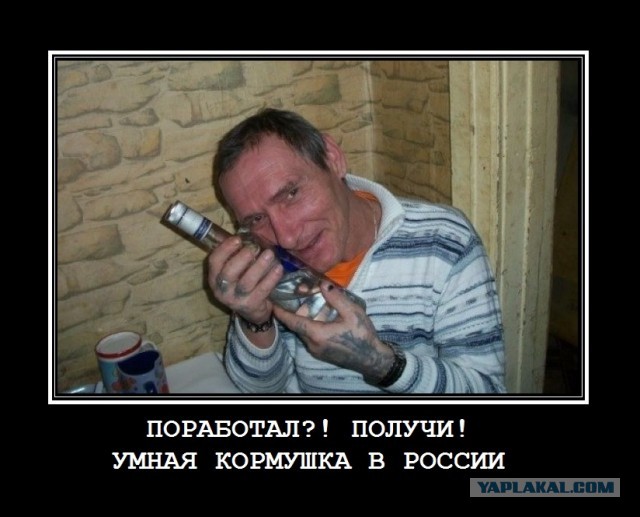 Шведский инженер построил «умную» кормушку для сорок, живущих во дворе. Она выдаёт еду в обмен на крышки от бутылок