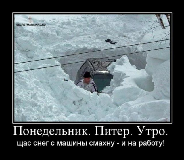 Картинки и мемы для настроения 03.12.2020
