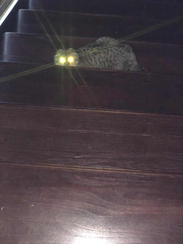 Моя красотка