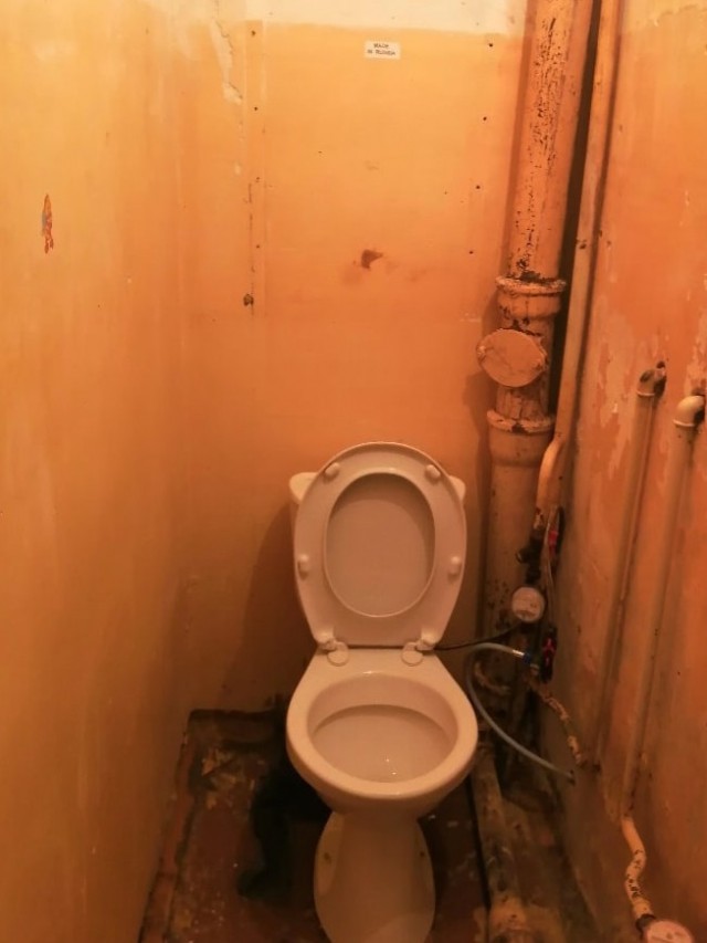 Жизнь одного туалета