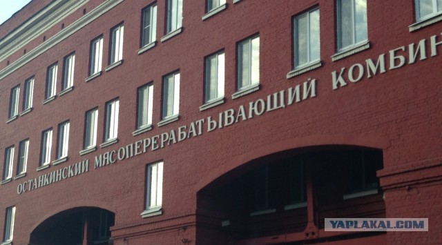 Друзья! Меня в Останкино приглашают! Записать телепередачу о моем творчестве!