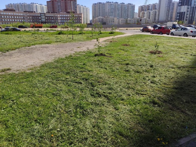 Свежая зелень