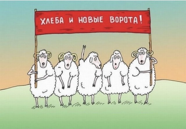Власти внесут законопроекты о QR-кодах в транспорте, кафе и магазинах