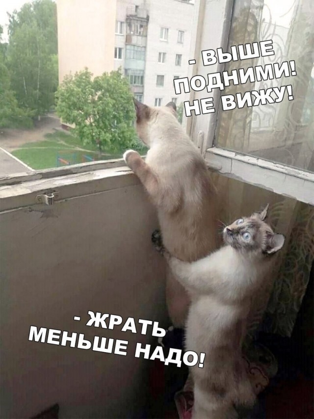 Так себе картинки 15.11.21