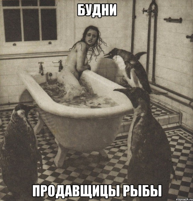 Рыбов, показываю. Красивое