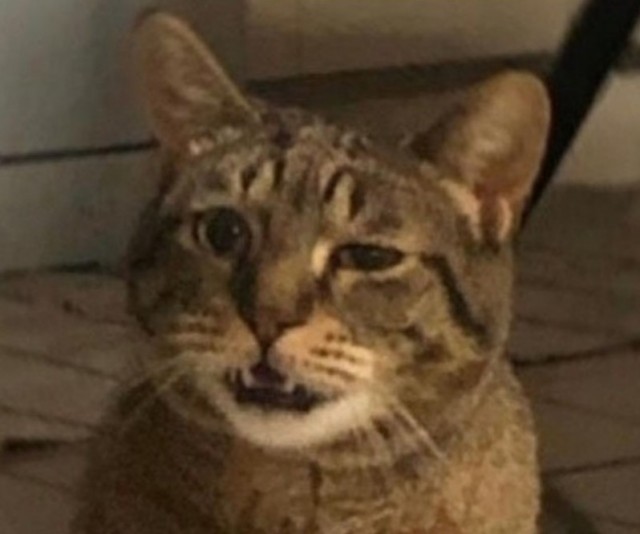 Че делать то?