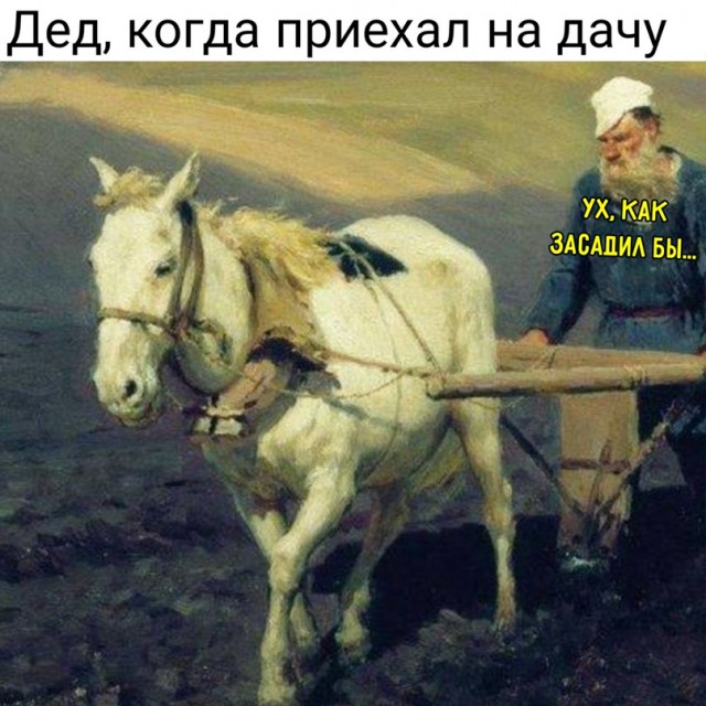 Весёлый полтишок 14.04.22