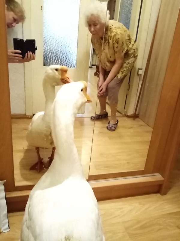 «Этих тварей надо найти».