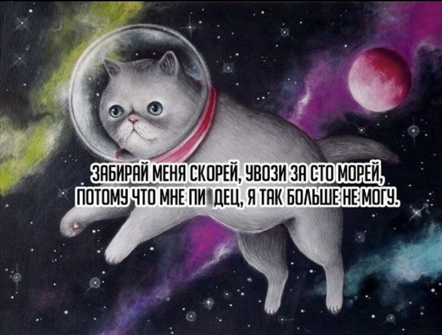 Увы, девки, природа, мы не при делах