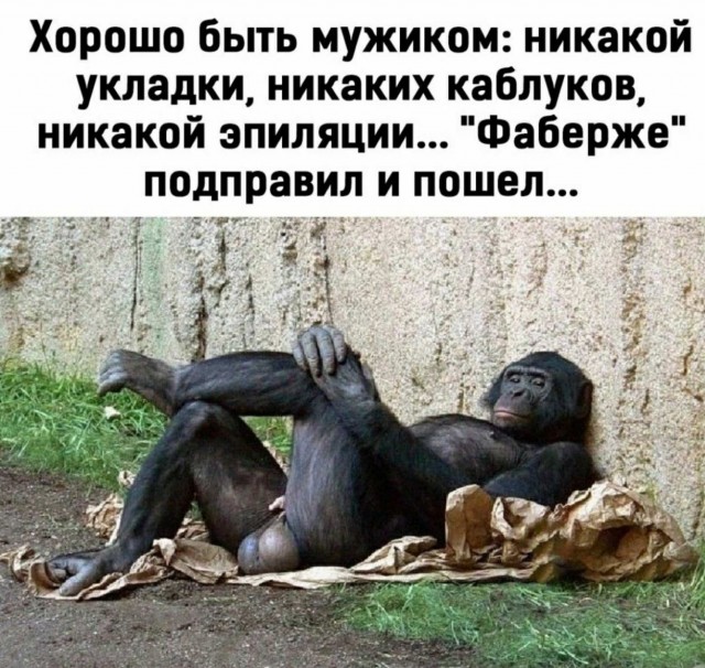 Забавные комментарии из социальных сетей (01.08.22)