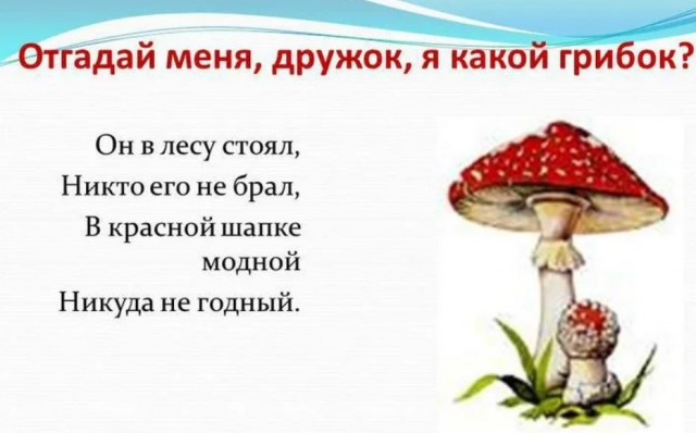 Победная поступь идиотизма по планете – том 2