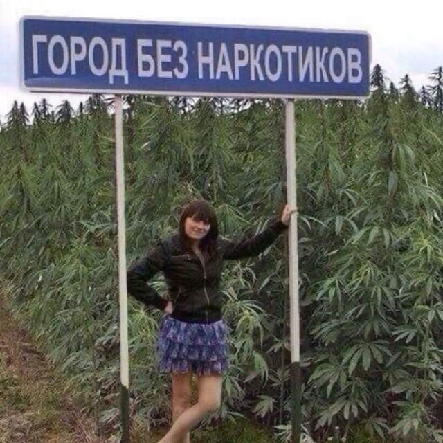 Прикольные и просто красивые картинки 29.11.2022