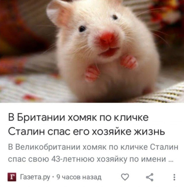 Как Сталин в зародыше подавил "бунт фронтовиков"