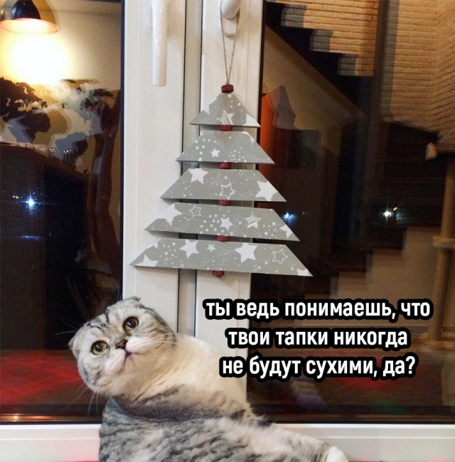Так себе картинки 17.12.22