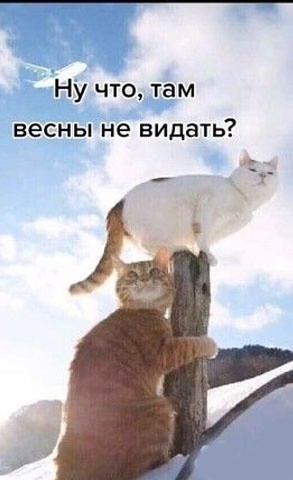 Так себе картинки 01.02.23