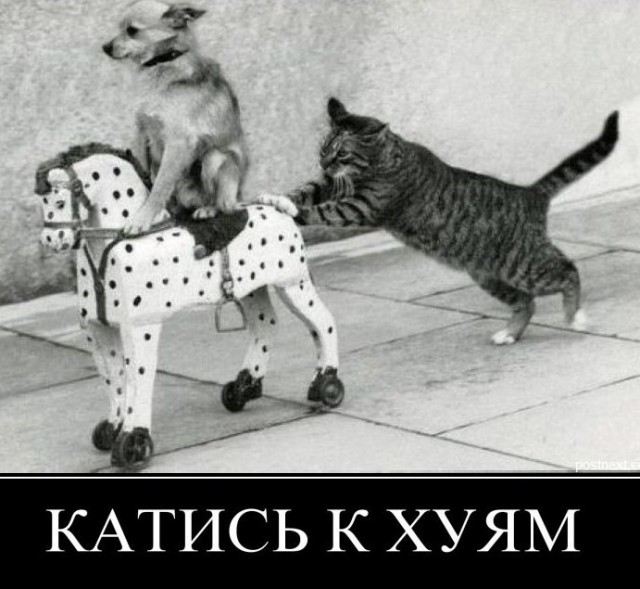 Ой беда-то какая... Сервис знакомств Тиндер уходит из России