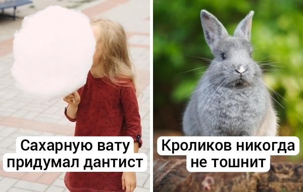 16 удивительных фактов обо всём на свете, которые пощекочут ваши мозговые извилины