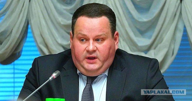 Дамбу прогрызли грызуны