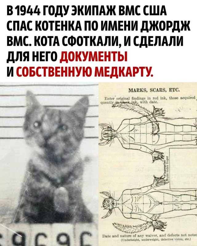 Интересные и редкие ретро-фотографии 21.05.24