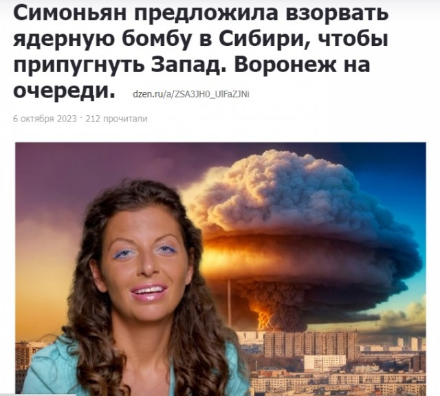 Бывший депутат Госдумы предложила решить проблему Курской области с помощью ковровых бомбардировок