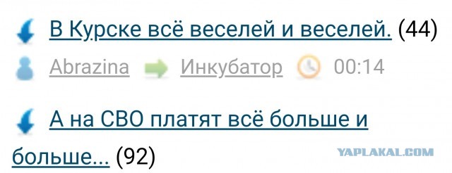 В Курске всё веселей и веселей