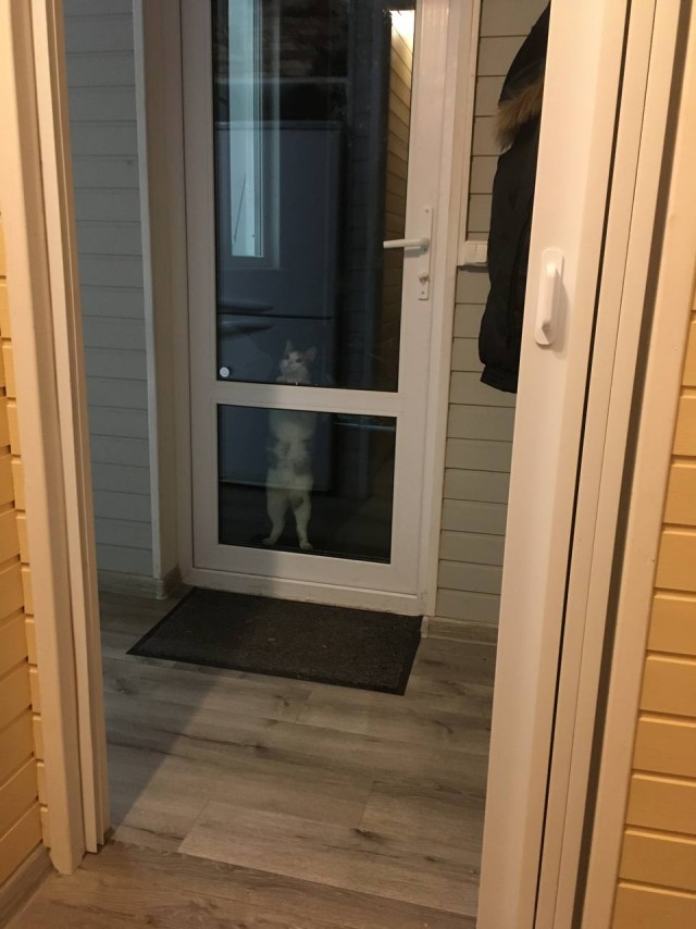 Оборотни против вампиров. Конкурс ужастиков к 31 октября