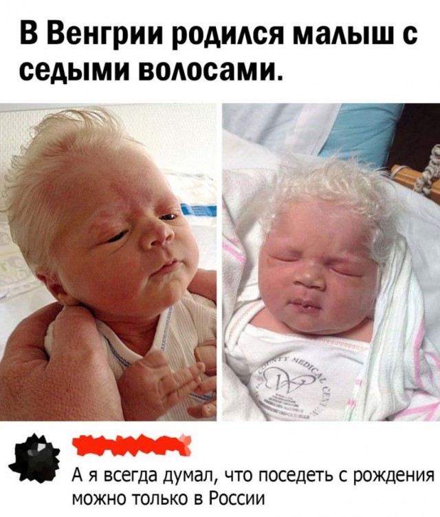 Так себе картинки 09.11.24