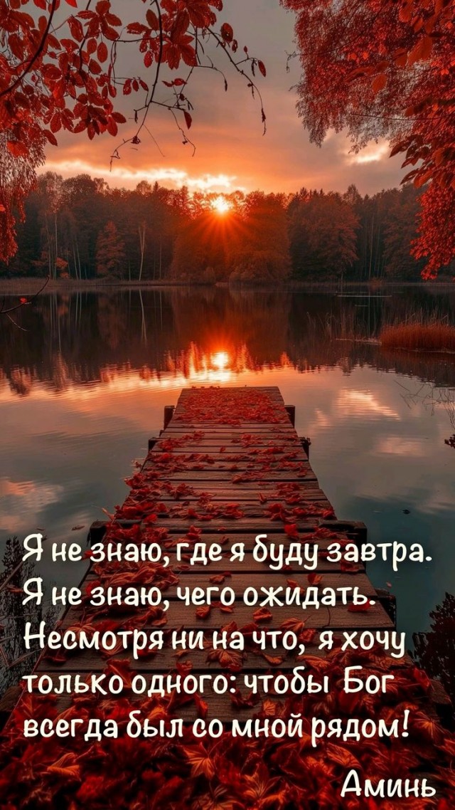 Прикольные и просто красивые картинки 12.11.2024