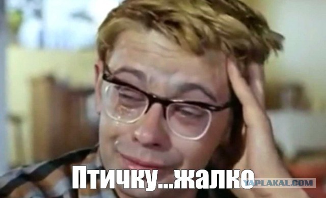 Мазут из потерпевших крушение танкеров «Волгонефть-212» и «Волгонефть-239» прибило к берегам Краснодарского края