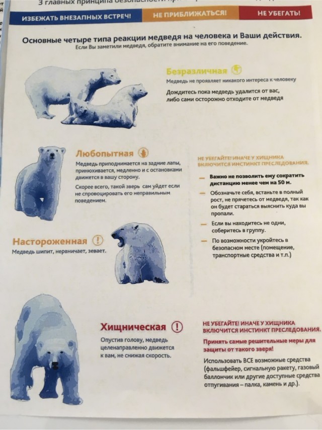 Когда жизнь - ничто, контент - всё!