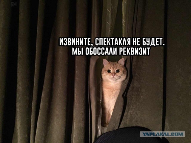 Сделайте удивлённое лицо: в падении Рунета внезапно виноват... сам Роскомнадзор