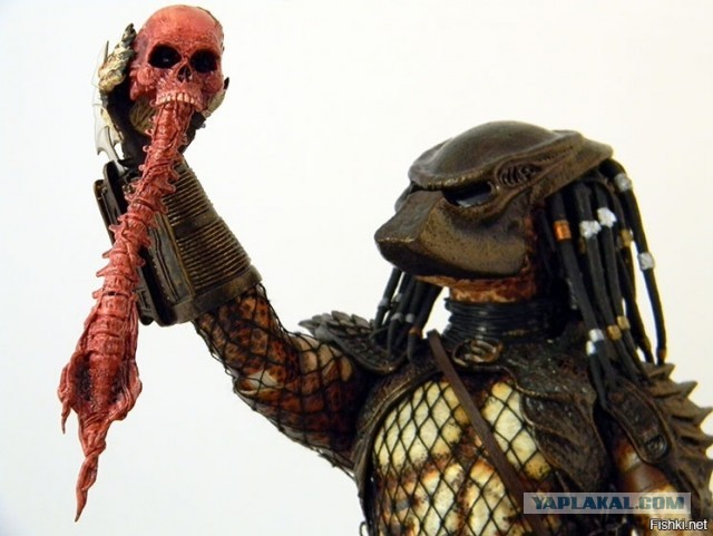 Человеческий мозг - интересные факты