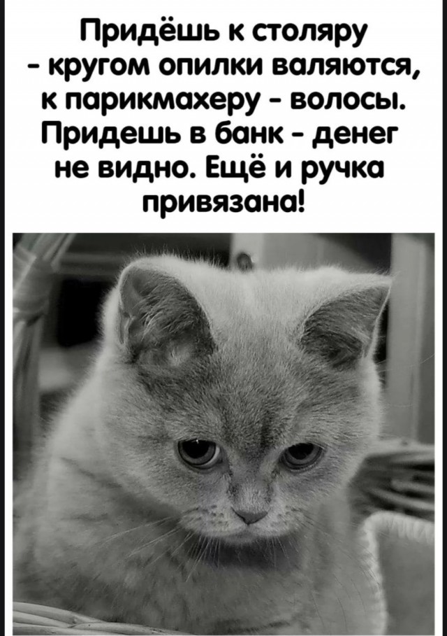 Юмор для тех, кто уже повзрослел и понял, что возраст — это просто дорогое хобби