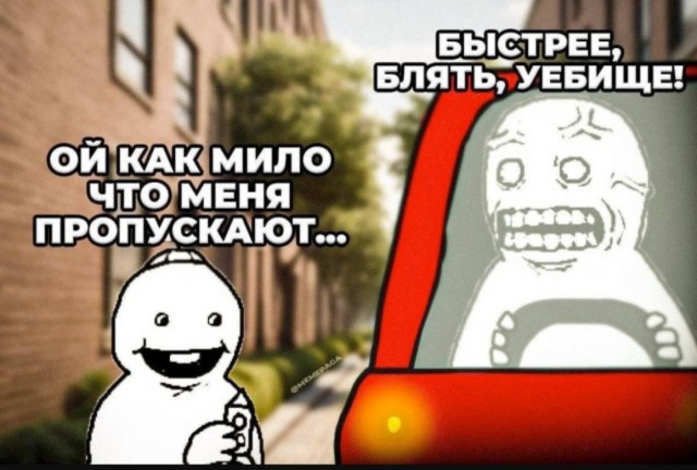 Немного забавных картинок от 14.06.2025