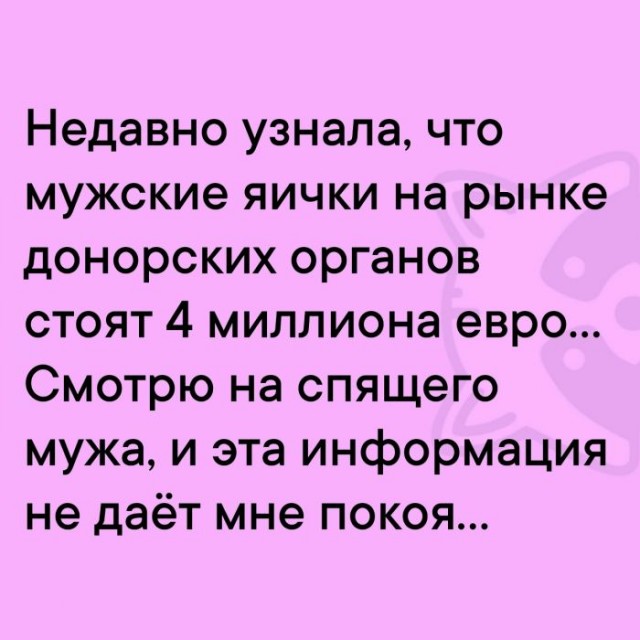 Картинки для деградации 66 (разной степени свежести)