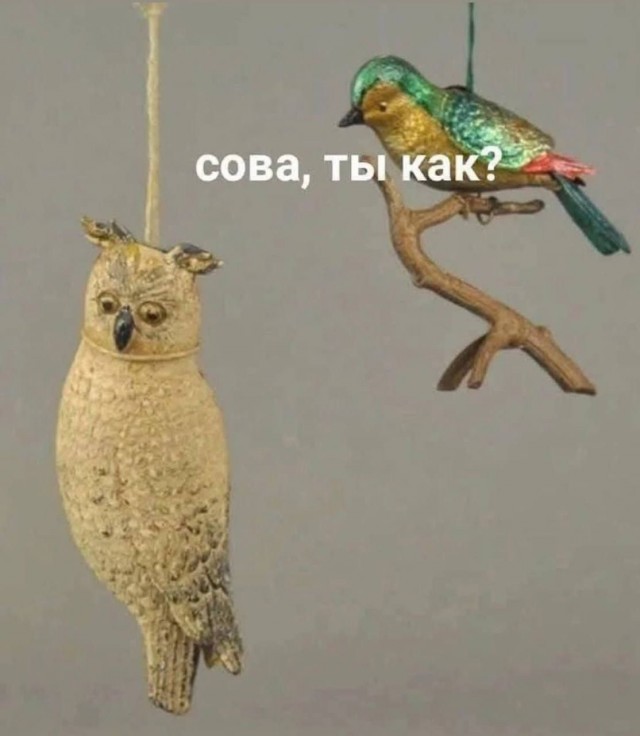 Так себе картинки 04.01.26