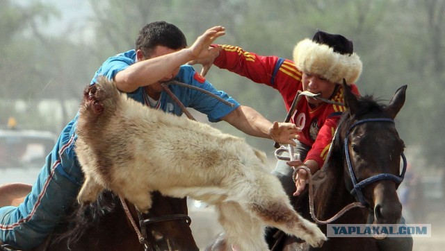 Это просто праздник какой-то